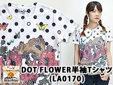 DOT FLOWERTVcSTARSTAR/fB[X