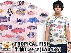 TROPICAL FISHTVcSTARSTAR