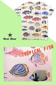 TROPICAL FISHTVcSTARSTAR