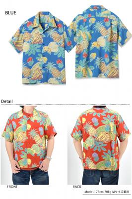 [AnVcuTROPICAL FRUITSvSUN SURF
