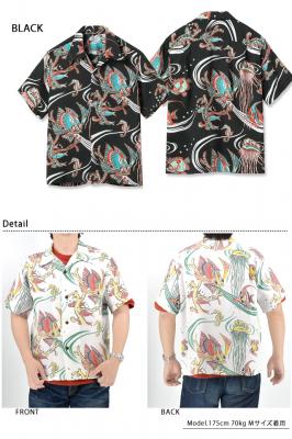 [AnVcuBUG EYED FISHvSUN SURF