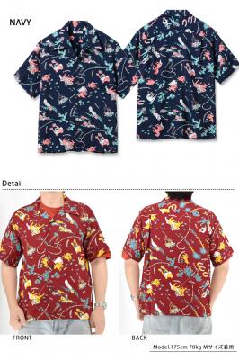 [AnVcuPANIOLA TOWNvSUN SURF
