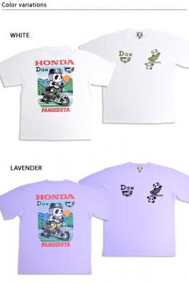 HONDA~PANDIESTA DAX125RbgTVcPANDIESTA JAPAN