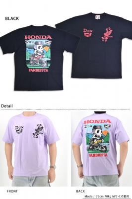 HONDA~PANDIESTA DAX125RbgTVcPANDIESTA JAPAN