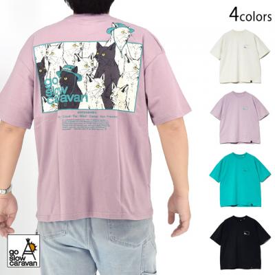 USA/C XNGALOGOobNvgTEEgo slow caravan