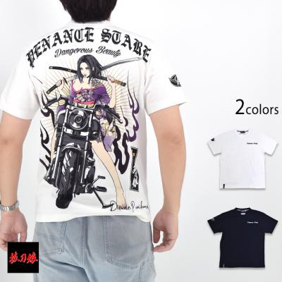  zRIDETVc