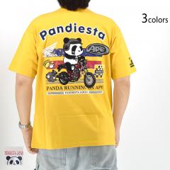 HONDA~PANDIESTA ApeChTVcPANDIESTA JAPAN