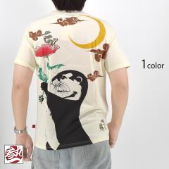 ڕꔼTVcQۈ