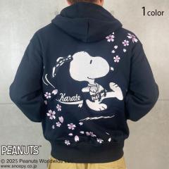 J~Xk[s[R{ KARATEXEFbgWbvp[J[J