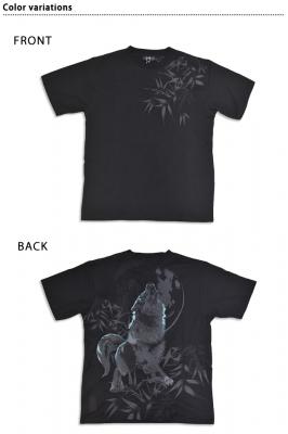 �� ���m���T�h�J����T�V���c�����J��