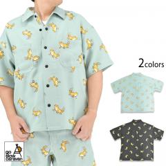 �u�b�`���[�����v�����g�����V���c��go slow caravan