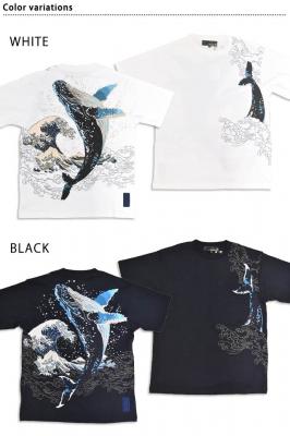 �� �����~����T�V���c�����J��