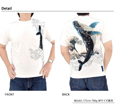 �� �����~����T�V���c�����J��