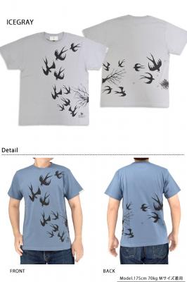 �c�o������񔼑�T�V���c����l