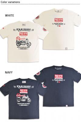 ����T�V���c�u�n���e�B���O�v���J�~�i��