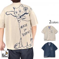 JQ�j�b�g�h���C�^�b�`�V���c�u�n������A��Ă���ꂽ�L �v��go slow caravan