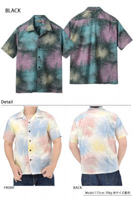 �R�b�g�����l���X���u���[���A���n�V���c�uCHRYSANTHEMUM�v��SUN SURF