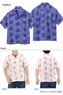 ���[�����A���n�V���c�uDRAGON GRID�v��SUN SURF