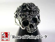 uRose of PainvO<br>Ci񂵂傭j